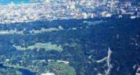 <Prosepect Park Aerial View>