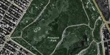 <Prosepect Park Aerial View>