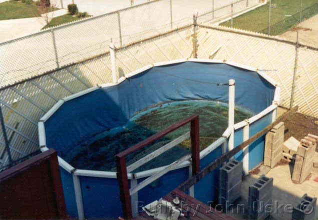 Above Ground Pool by John Uske